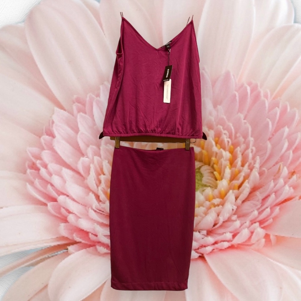 Express Matching Set Top and Skirt
